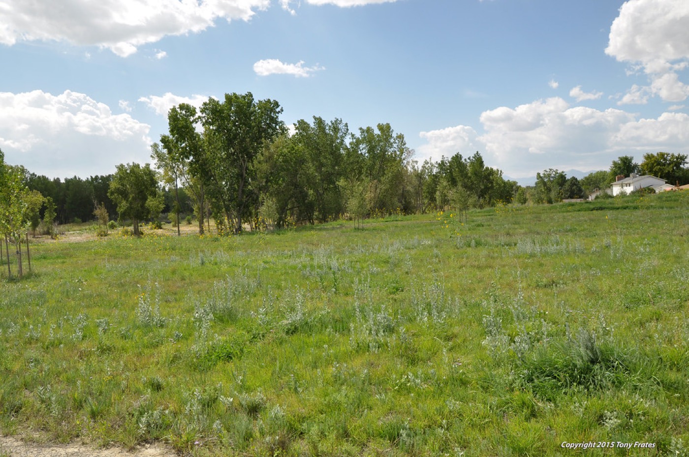 A Landscaping business Kaizen serves